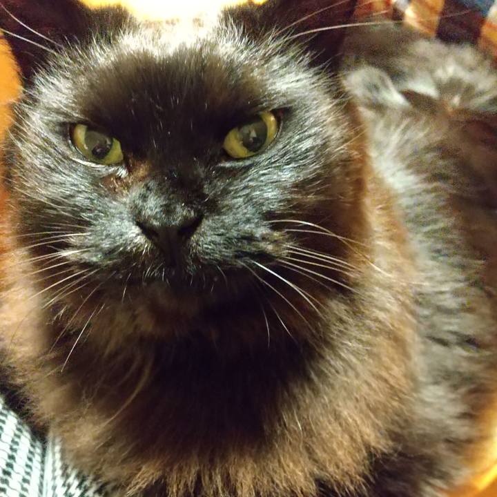 51cba594 9202 40b3 b02c 6f8b498ed289 1610104302359