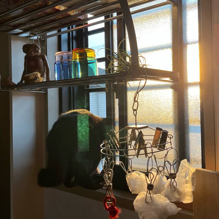 51cba65a bb19 4114 b3c6 786838868953 1680654054952