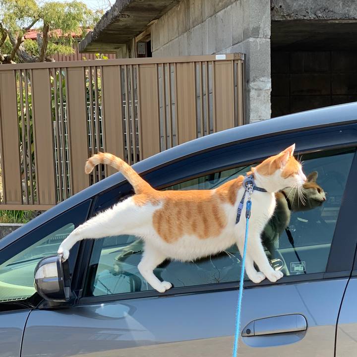 51cbb388 f38a 433f b528 42c1a244fbd2 1585964165006