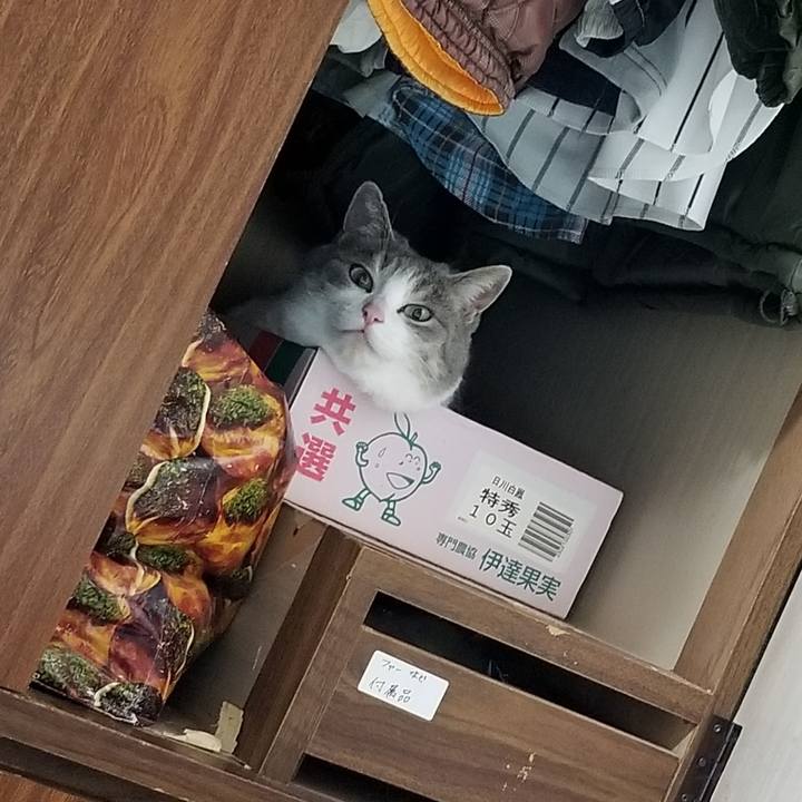 51cbc007 d7f8 4999 bed2 815bb6f0780c 1658323455729