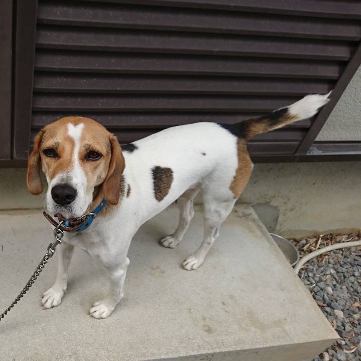 51cbd165 7d06 4fa2 8fdd e42255c367b2 1569368221913