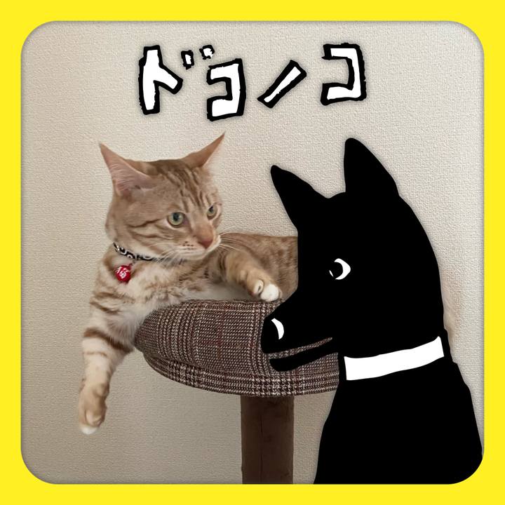 51cc79dd 5568 4dc8 a796 3bebeea72807 1622852442066