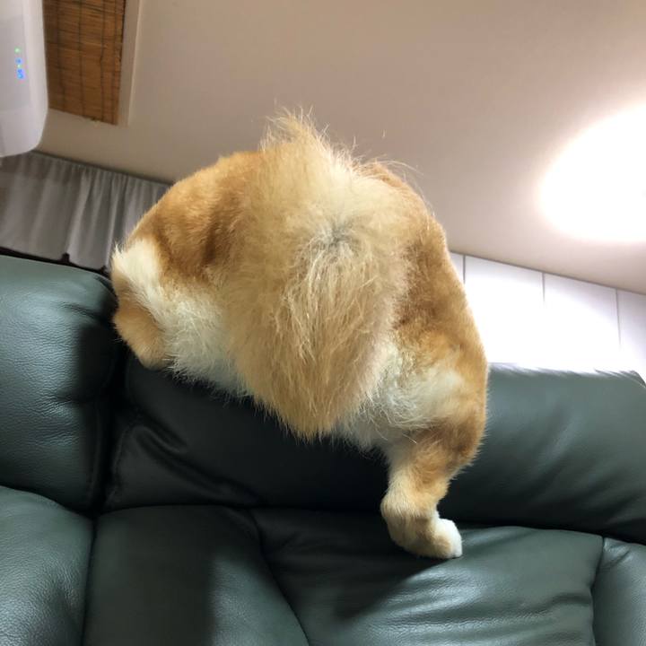 51cd3d3a 56bc 49a7 87f2 a4507019b35c 1586265676331