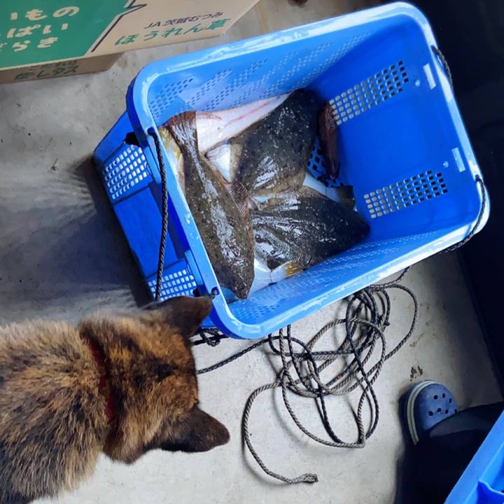 51cdcff7 1dc1 4db5 9a69 22b80fe32f05 1589152540763