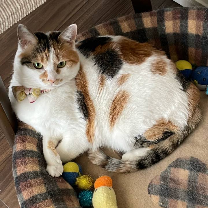 51cdfc26 9483 4faf 9adf 9ba4d19e3f4e 1646441671757