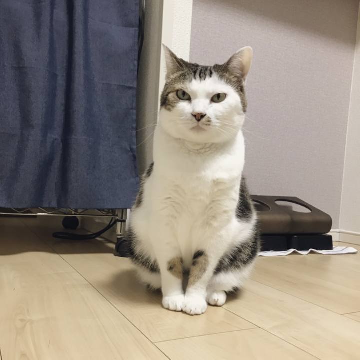 51ce0cb8 c25c 470e b1b0 9db4cc1e23d2 1538706961799