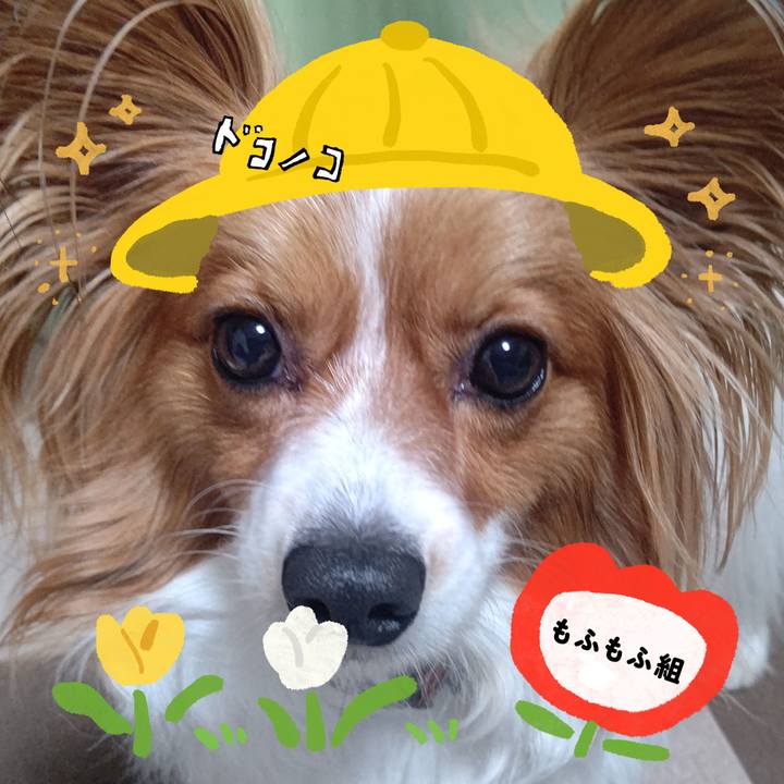 51ce464a 7e39 4a71 b07a 8c49732fbffa 1712316149052