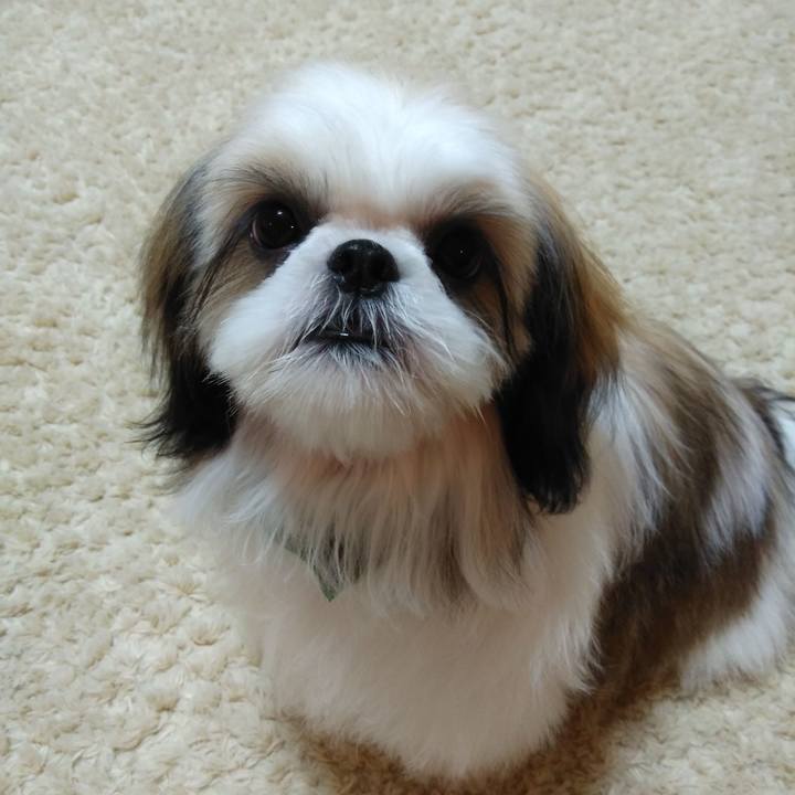 51cf2b84 735d 4578 99be 16a14046fcea 1539430144503