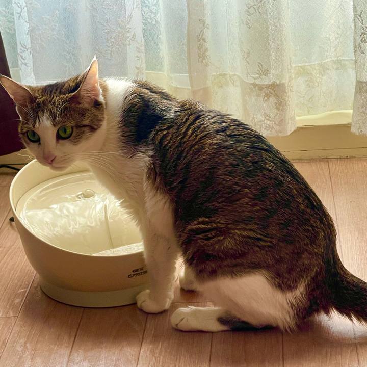 51cf3cc9 c815 456b 9517 3be304c5b67e 1635899676661