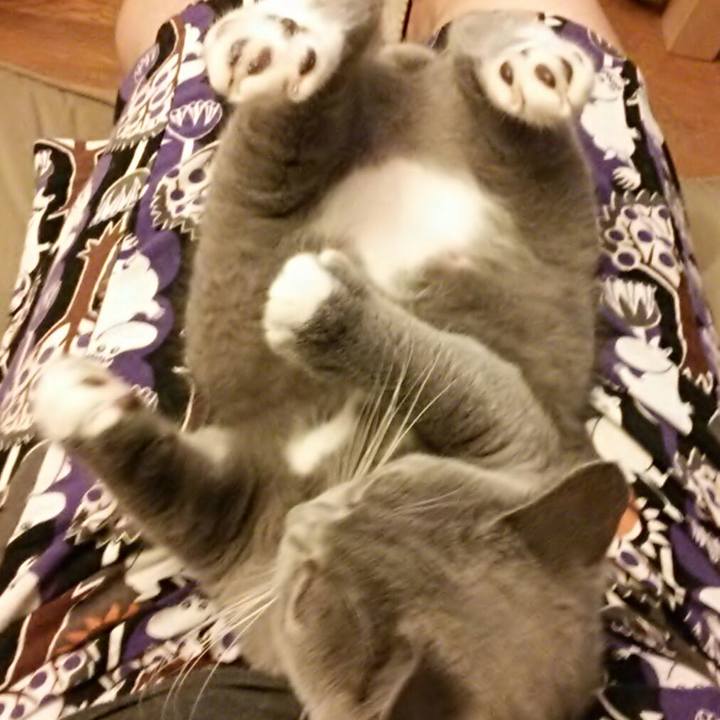 51cf5b24 85f2 499c 92d6 72ad80a6a07f 1536272166633