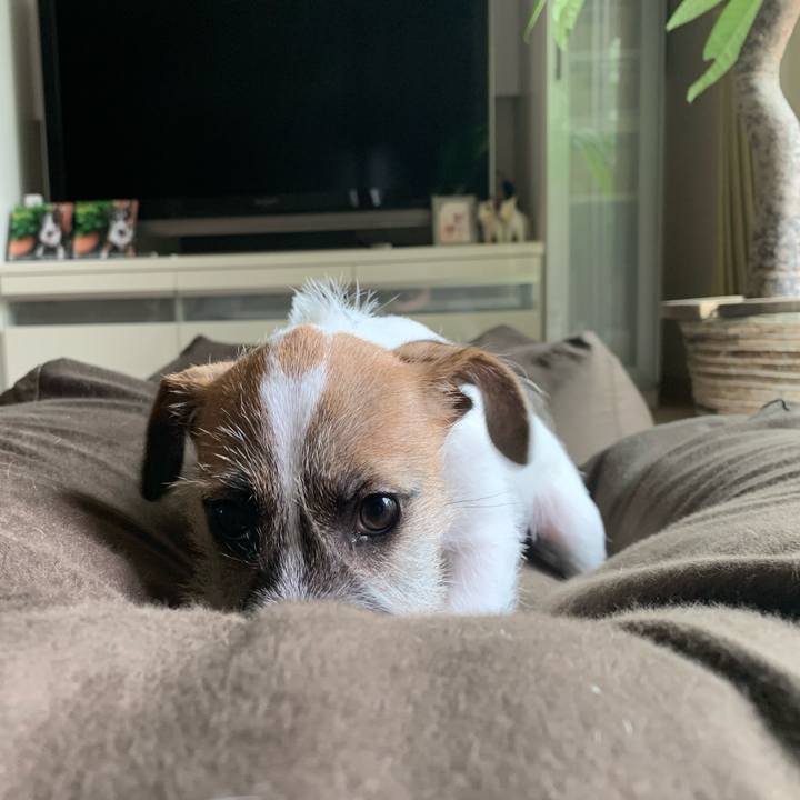 51cf842a 4b80 4123 be22 99622793349f 1560993341129