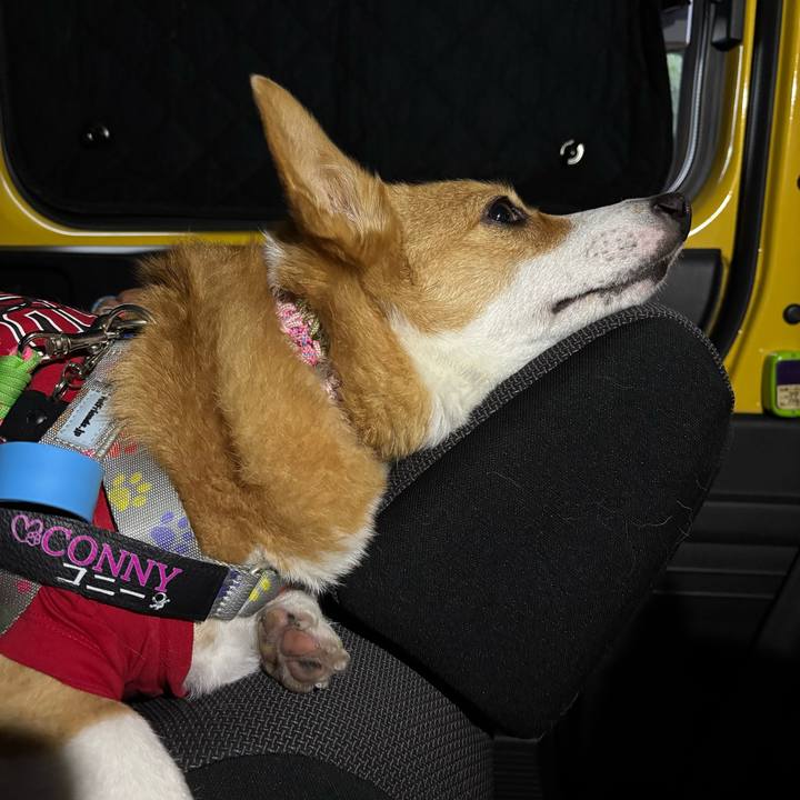 51cf9cf7 e588 40f2 a7e5 20dafee9fd02 1759006238861