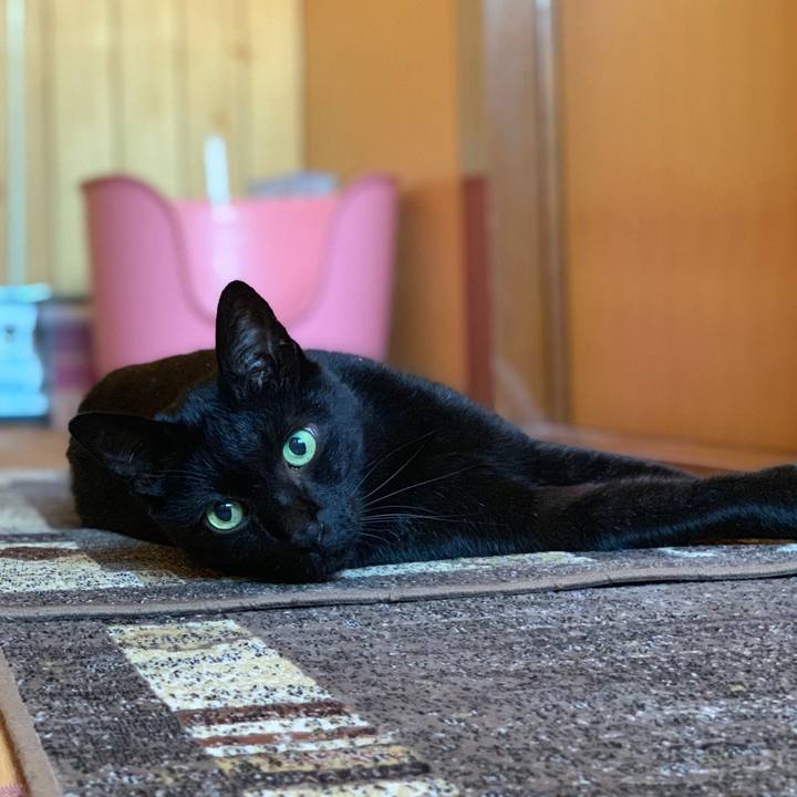 51cfb489 8382 466a bbd5 c9bec83b34df 1570671095499