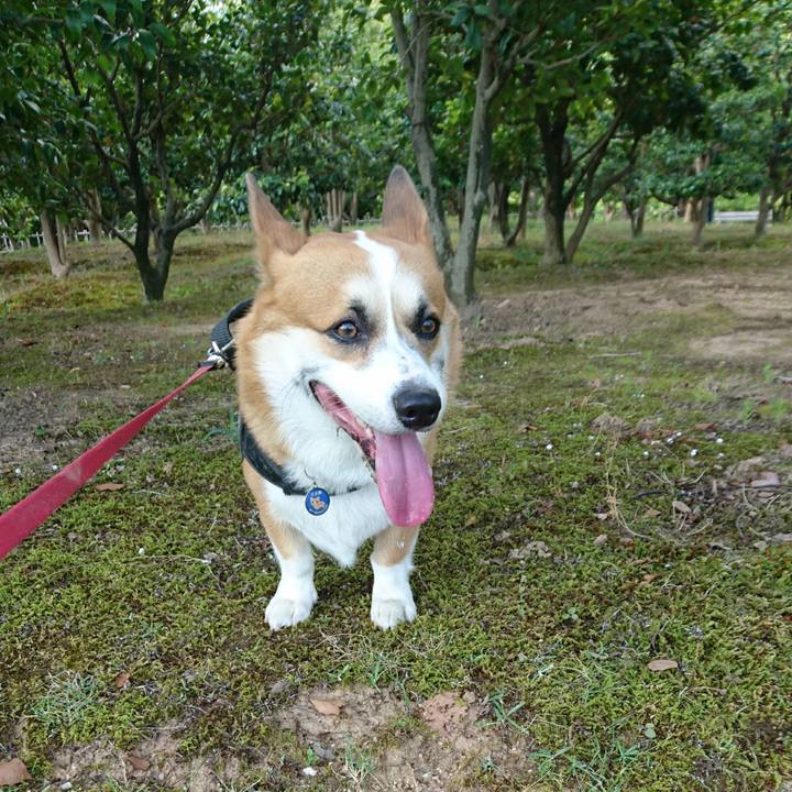 51cfc14f a3cb 4e8c bf6d e4d336ee0c94 1627106633445