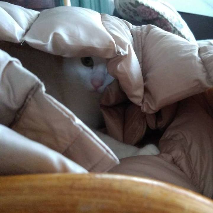 51cfd286 7d72 4895 b550 c29b8f8cb1b7 1703237327038