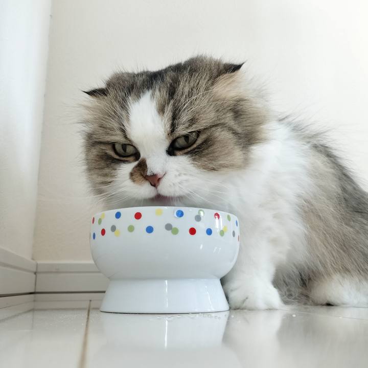 51cffae7 93c7 475c 98ea c35d859047a8 1773448302306