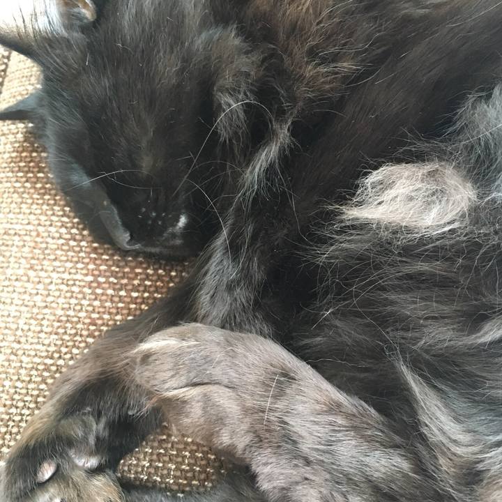 51d003aa a2a4 4716 b2ea a03a85b26142 1520832231143