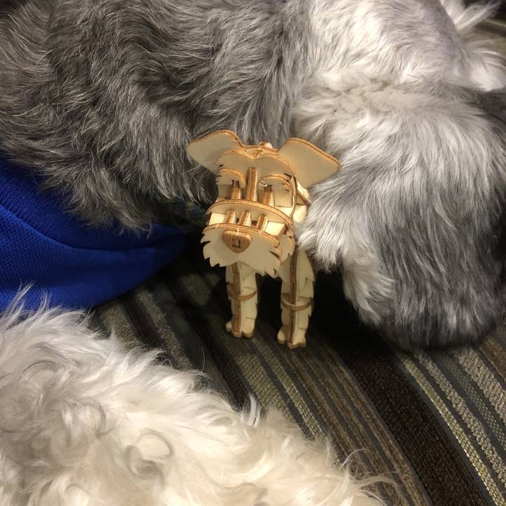 51d01cae 4c11 4400 97bc 6eb6c2f30b56 1565952074460