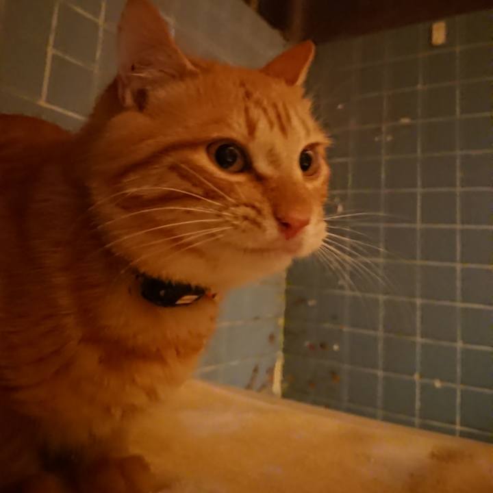 51d059f9 1ff5 4649 9d09 591f73f5f853 1644403415078