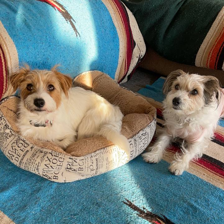 51d05f1b 9e9c 4e48 a5ef 48f114e85d5d 1771113200426