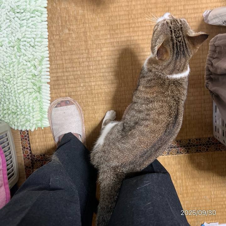 51d06438 c226 45df b397 a865c80a8d92 1759184199565