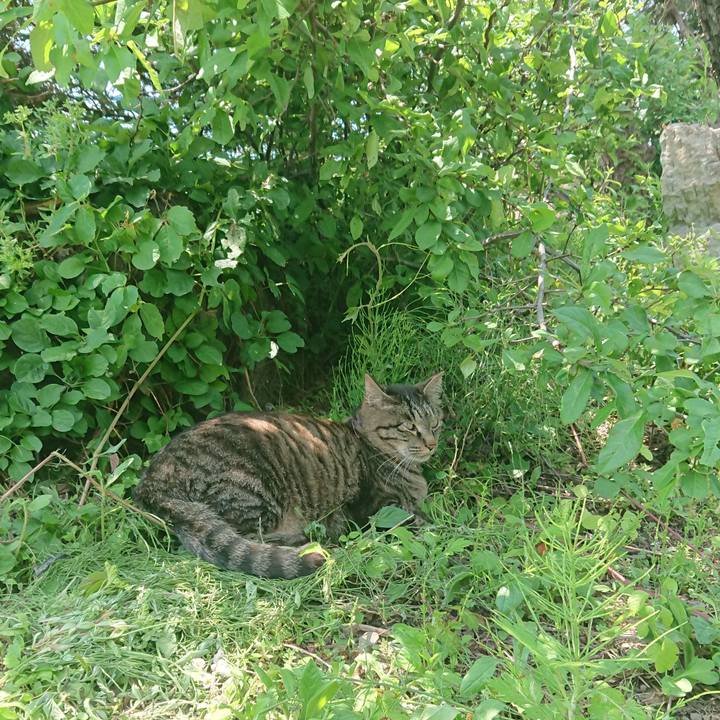 51d0acfb c1a9 4777 85fc 6752bef80b4f 1653878056342