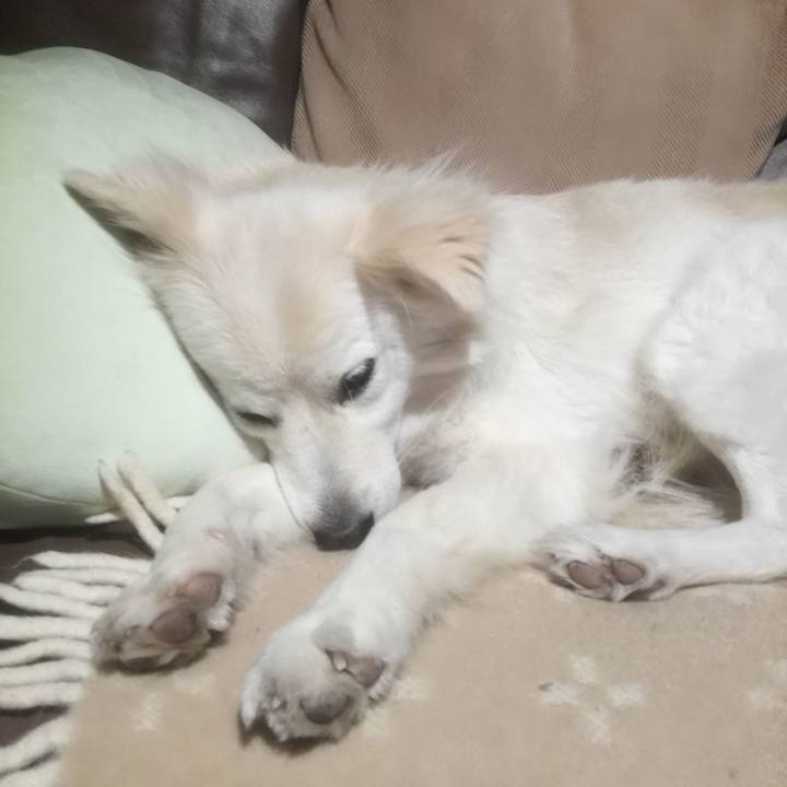 51d0ca95 df0a 4113 a75c d06c948e18f0 1516577319449