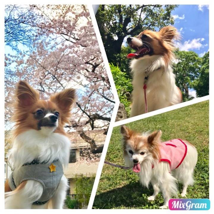 51d0cec7 bcce 469e 99b4 9835844cda64 1522063319754