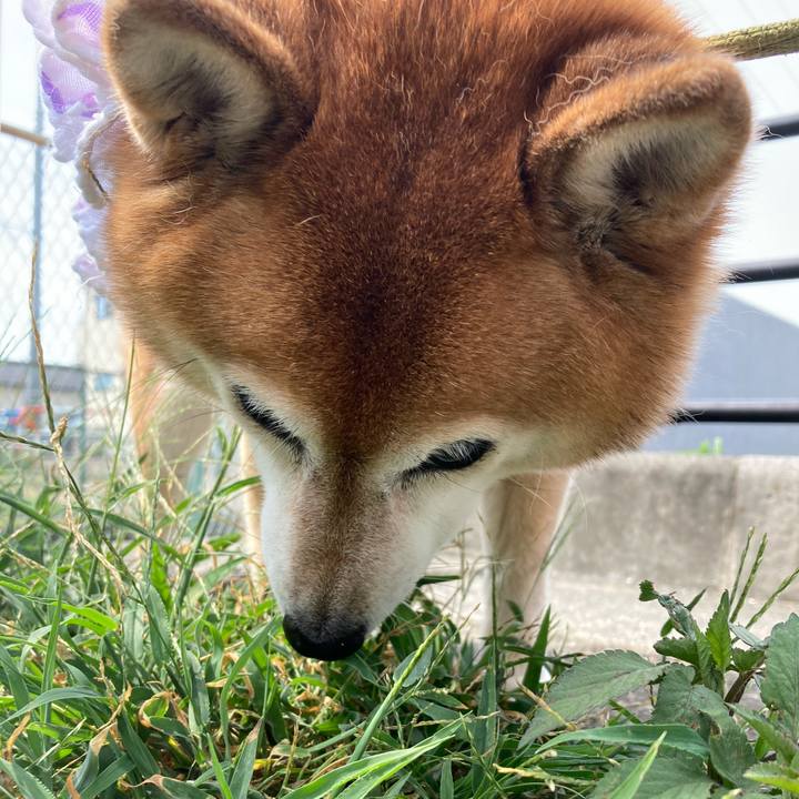 51d0d5b7 d393 425c 9a7c fa82968d5575 1689675289543