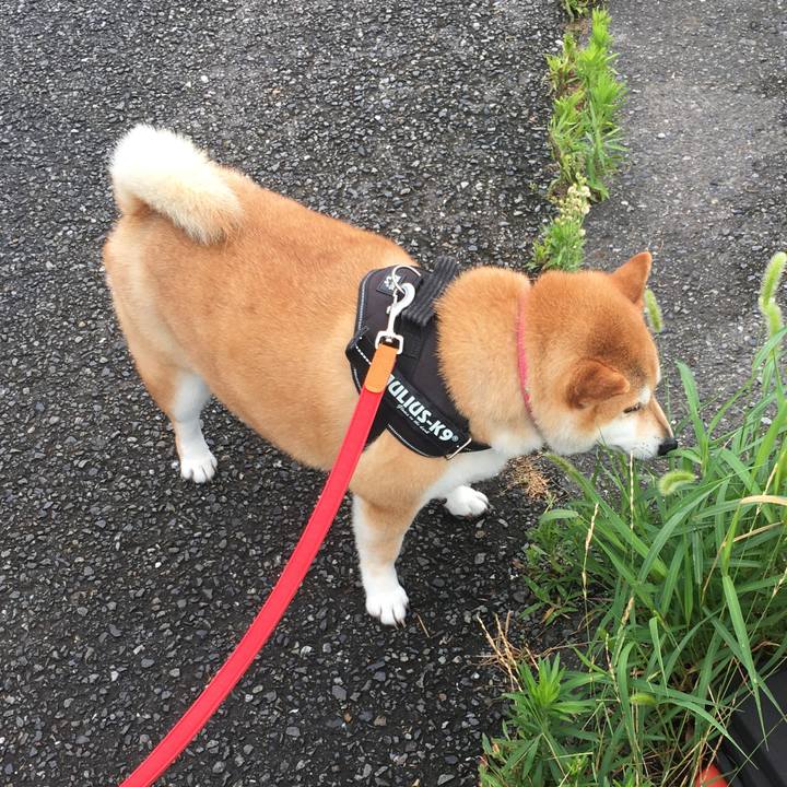 51d0ec08 4657 4953 a5b6 f90739fee0ce 1593322264098