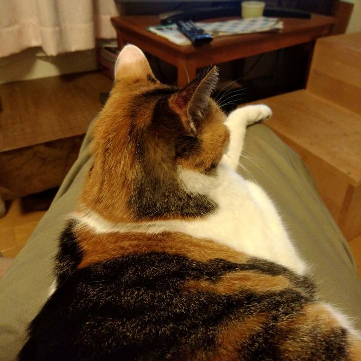 51d119a6 0610 4bc5 9f62 69c30992905b 1570020075206