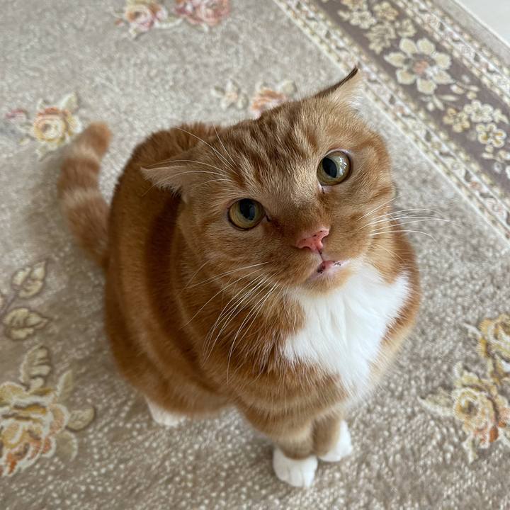 51d13686 2a7e 4aad a6bb ccba9721af2b 1640784478342