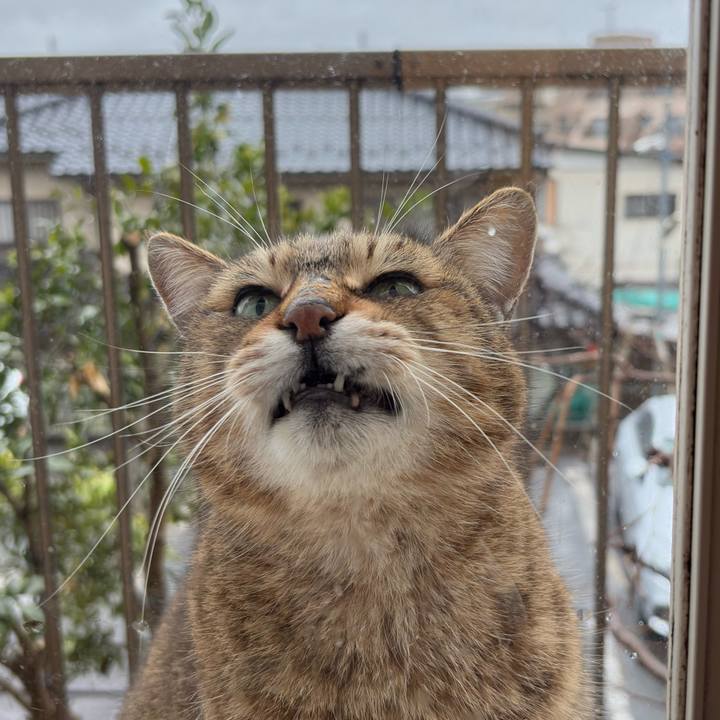 51d1510d 4ba6 430d a818 64b7965737a7 1772000246508