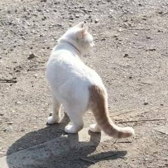 51d19504 e140 4f21 a21a 3b44dea69cff 1522288918963