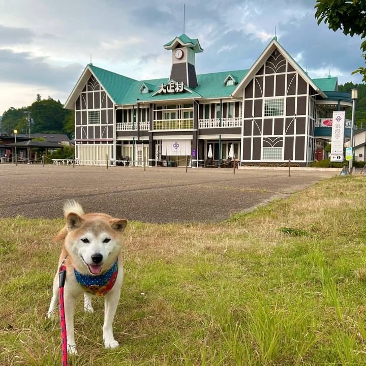 51d195ed 891e 474f a5a3 f26e18a5ae62 1754391187729