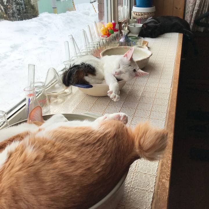 51d1be18 f1be 4d26 b2a7 3025347147c0 1582515867465