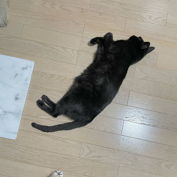 51d1c858 1809 46b8 8b85 9bb4388c2464 1657717324081