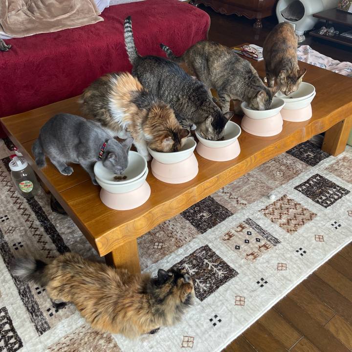 51d1d948 cd39 4324 917c f09f5c7692a2 1761999851157