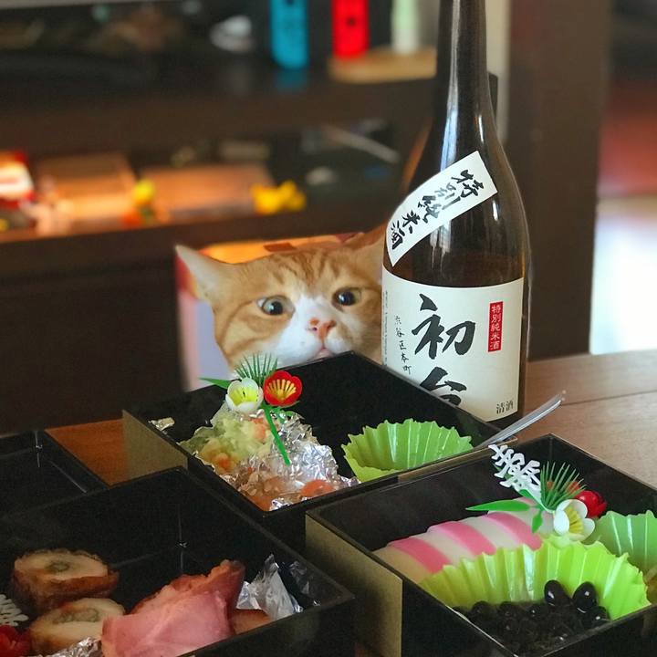 51d1e9d8 39bc 4d0f bf69 def8fc60d10f 1546596681127