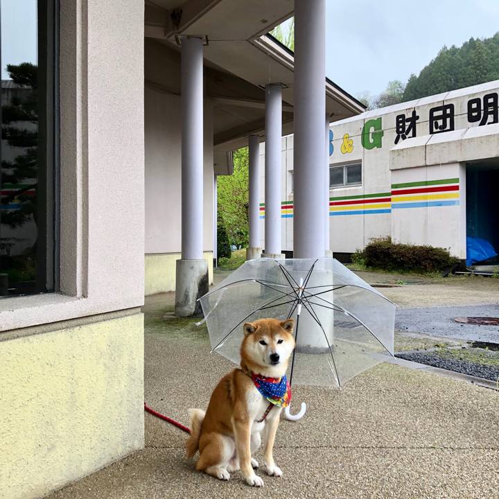 51d2182a 6c23 4706 878e 9f06232a99f4 1556692117451