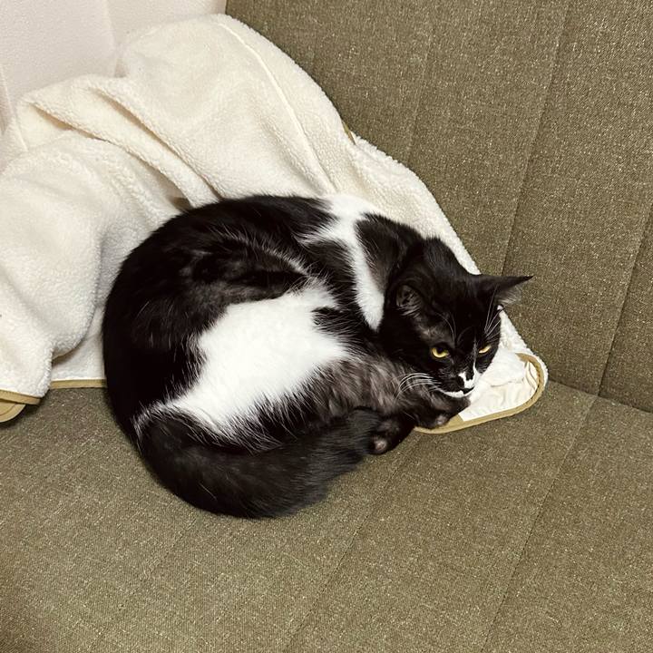 51d244b6 953b 411b a550 08a1d095c4f8 1765970308067