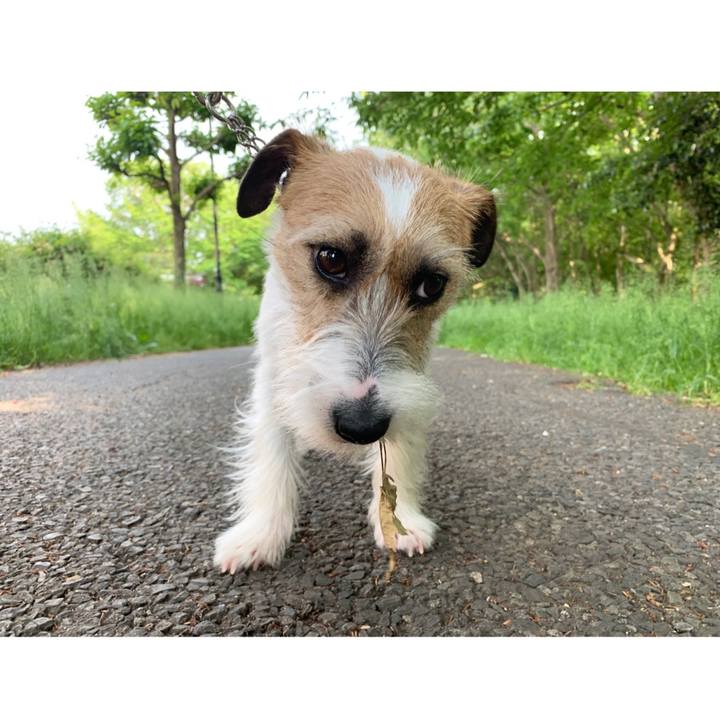 51d28021 5769 411a afcf 39e7614e8515 1589269798186