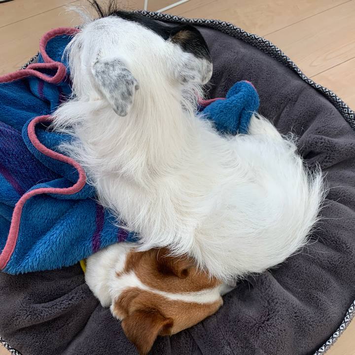 51d2cfc1 28d8 4e89 9002 8f628b6a0f11 1639524686368