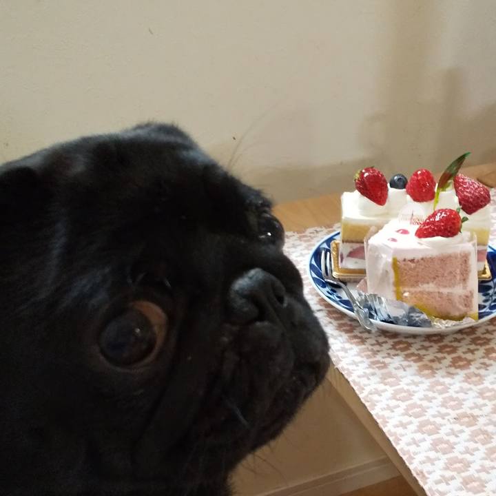 51d317fa ebe3 4afb 9248 4e9c5fb35572 1583927730412