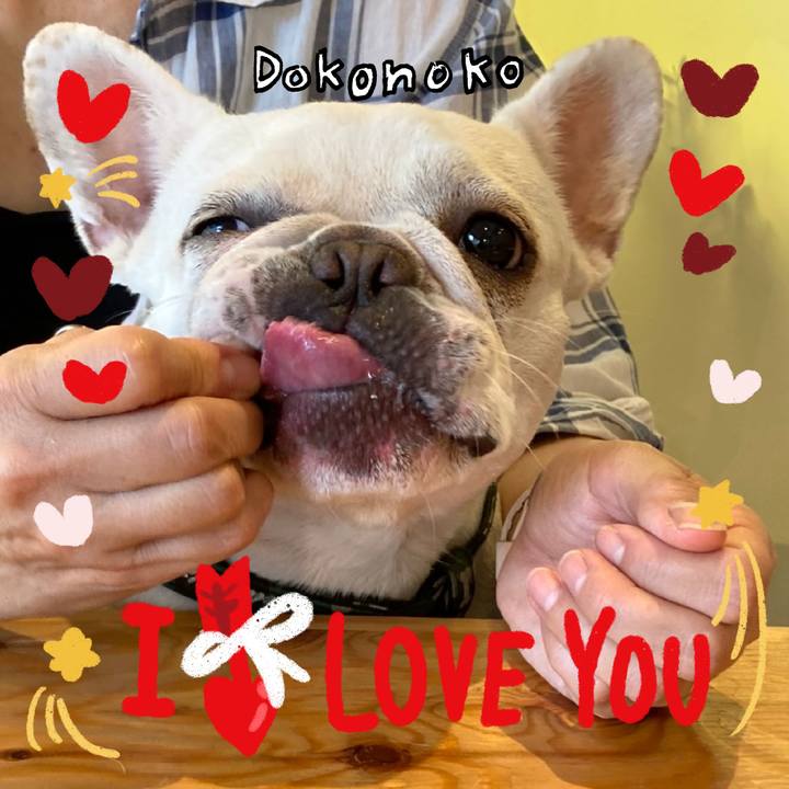 51d31925 8738 4bbd 98e4 4803c6ab98c6 1706867605617