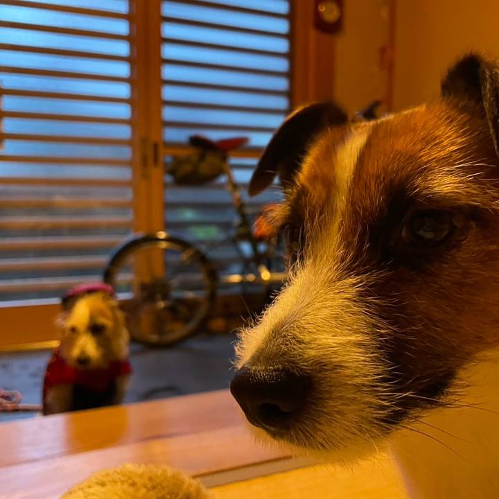 51d34565 51c7 4a64 a680 4b03c0520acf 1732746106128