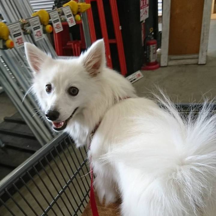 51d36f4b 8100 48b3 9f07 3b3733409363 1534672397358