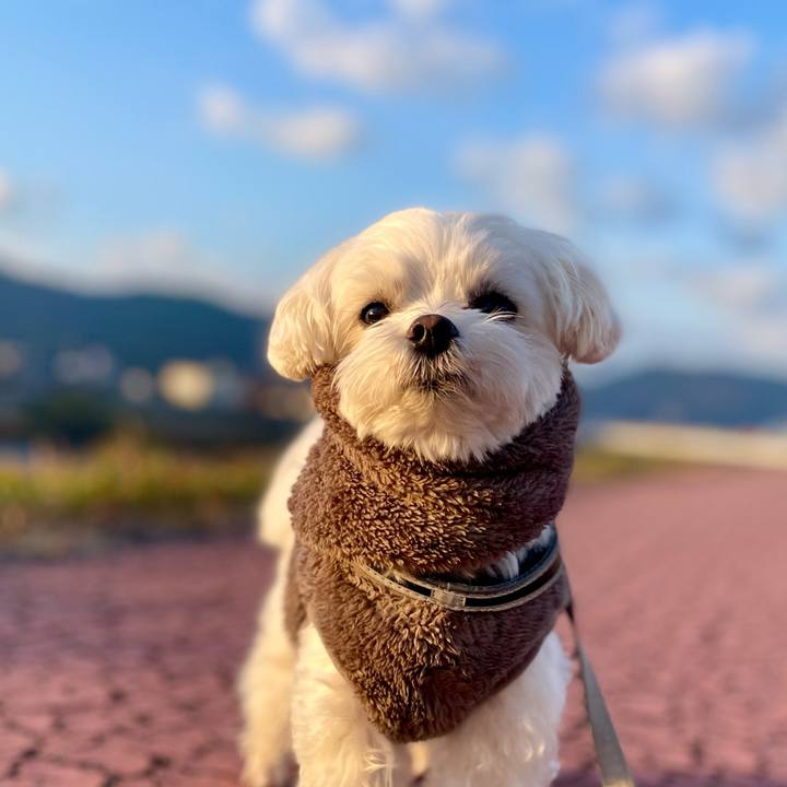 51d37ff4 ecc9 4cca b3c6 b95fbcc1fde1 1764630203644