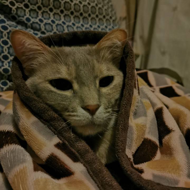 51d388da b505 4e56 815a aa12ed00145c 1645674018093