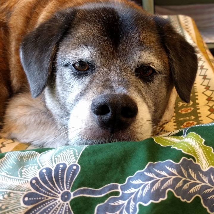 51d38956 9648 4c41 86dd 2134404ef9ce 1531978788401